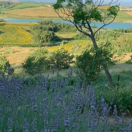 La Bergerie - Paisible Vue Et Montagne *